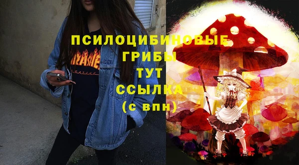 мяу мяу мука Баксан