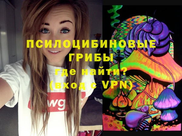мяу мяу мука Баксан